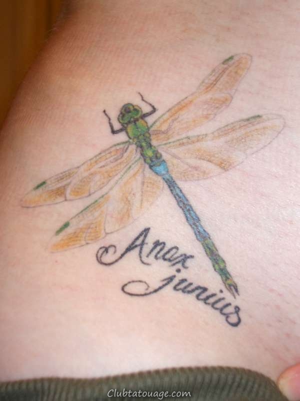 50 Dragonfly Tattoo Designs spécialement pour les filles