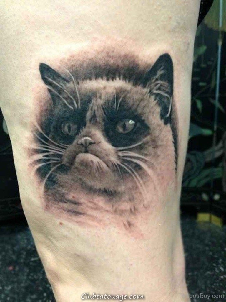 Cat Tatouages: Chaque tatouage chat, conception, de placement et de style
