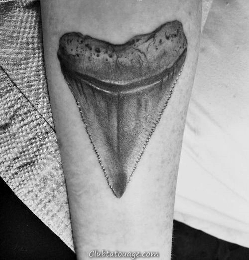40 Shark Tooth Tatouage Pour hommes - King Of The Waters