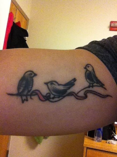 Adorable 3 petits tatouages ​​d'oiseaux dans des styles différents