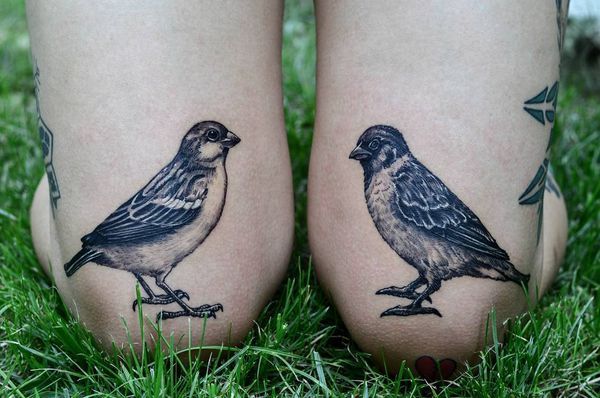 Conceptions de Tatouages ​​Sparrow avec le sens