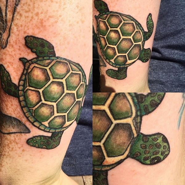 Conceptions de tatouage de tortue de mer avec des significations