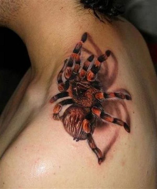 Conceptions de tatouage 3D araignée