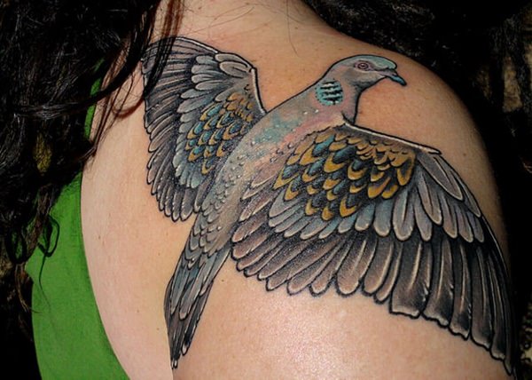 95 tatouages ​​populaires de pigeon (avec signification)