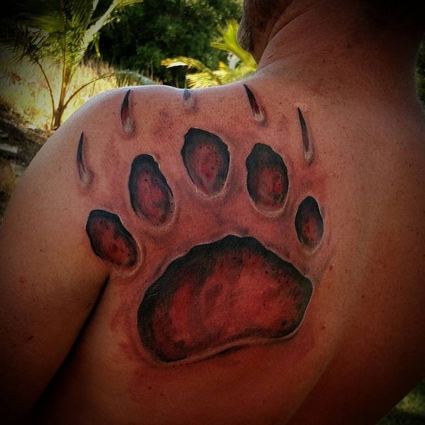 Conceptions de tatouage d'ours de patte dans différents modèles