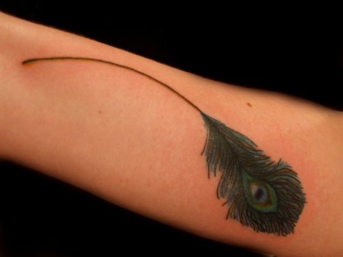 Idées de beau tatouage de paon avec des plumes