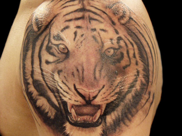 Conceptions de tatouage de tigre pour des hommes: 60 conceptions