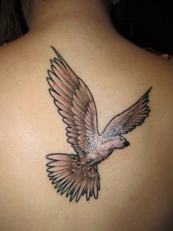 95 tatouages ​​populaires de pigeon (avec signification)