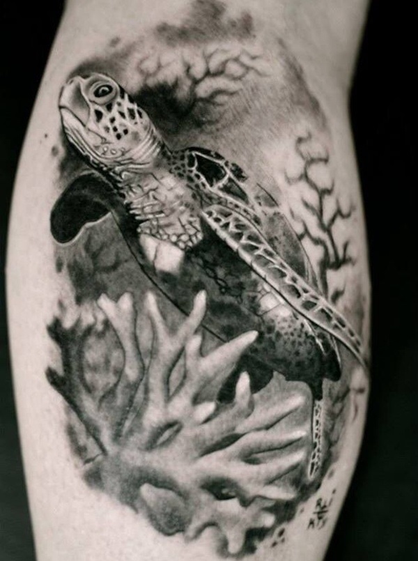 35 conceptions et idées de tatouage de tortue