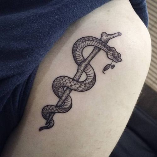 Plus de 30 petites idées de tatouage de serpent
