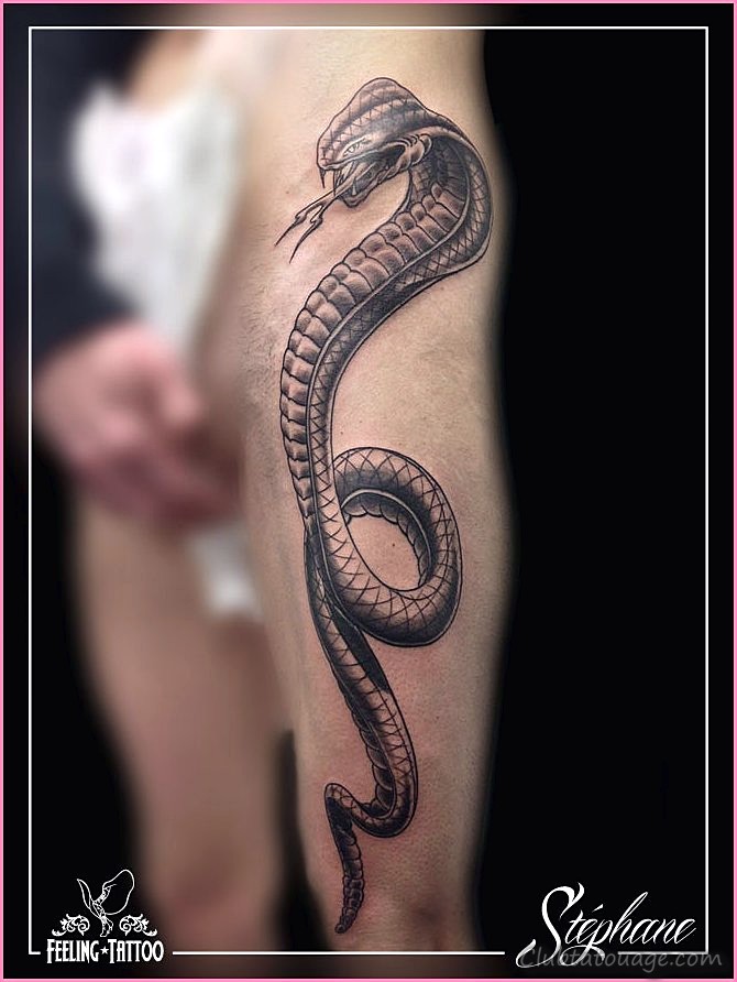 Snake Photos Tatouages autour du bras