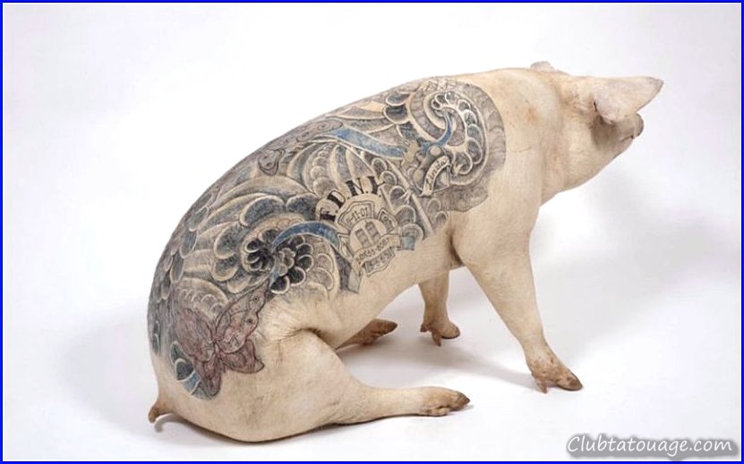 Les tatouages d'animaux sont un excellent moyen d'exprimer votre créativité